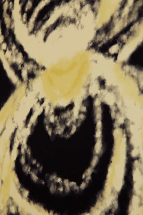 Art print with an abstract illustration of circular forms in light tones against a dark background, with a soft and organic expression. Styled in a minimalist interior.