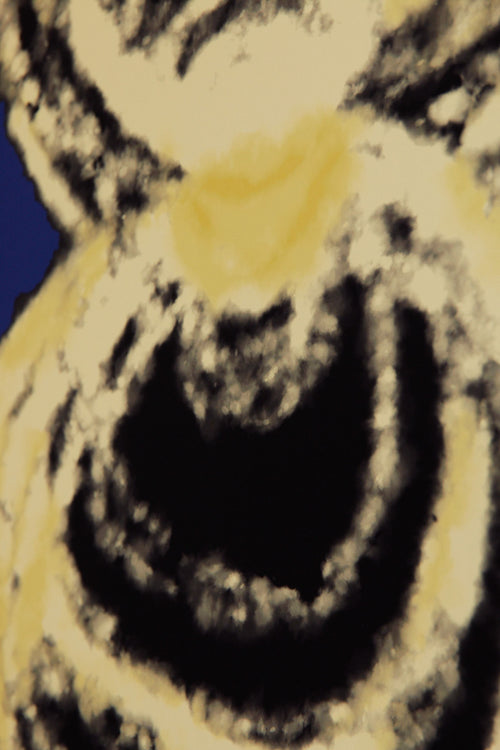 Art print with an abstract illustration of circular forms in light tones against a cobalt blue background, with a soft and organic expression. Styled in a minimalist interior.