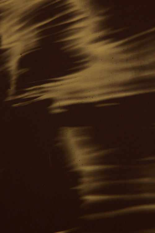 Art print featuring soft, blurred contours and flowing soft beige shapes emerging against a dark brown surface, creating an impression of motion and impermanence. Styled in a minimalist interior.