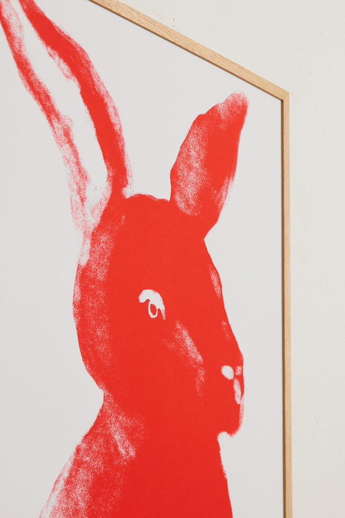 Bunny red