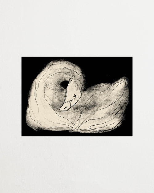 Art print with a stylized illustration of a lying swan in a light tone against a dark background, with a minimalist and graphic expression. Styled in a minimalist interior.
