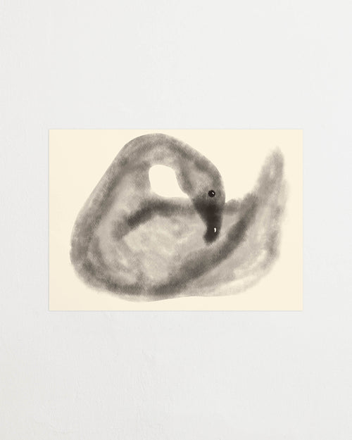 Art print with a stylized illustration of a swan in gray tones against a, with a soft and graphic expression. Featured against a light background.