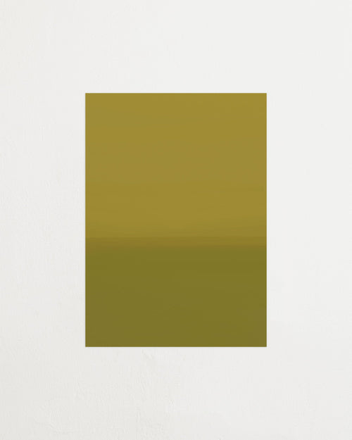 Solid mustard yellow color swatch on a light gray background